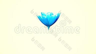 <strong>开放</strong>长时间盛开的蓝色<strong>花朵</strong>时间推移3D动画隔离背景新品质美丽假日自然
